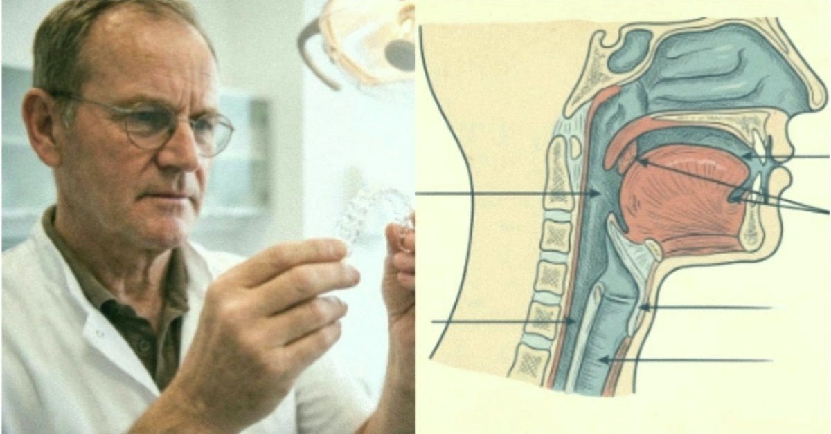 A dentist examining a clear oral appliance, beside an anatomical diagram of the airway and jaw